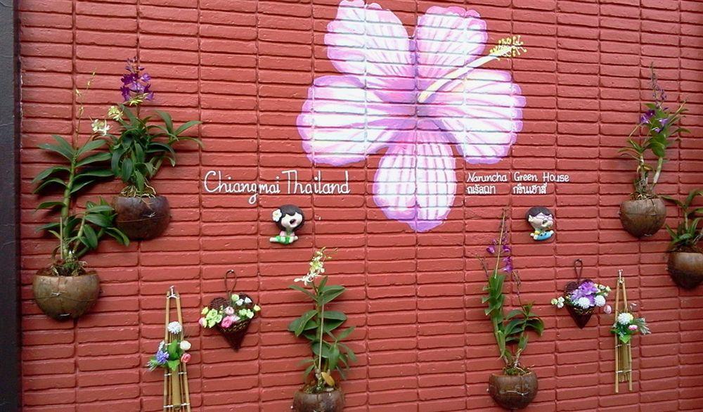 Naruncha Green House Chiang Mai Ngoại thất bức ảnh